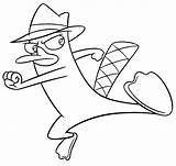 Platypus Coloring Pages To Print sketch template