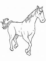 Horse Coloring Pages  Learny Kids sketch template