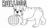 English Bulldog Coloring Pages sketch template