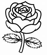 Pretty Rose Flower coloring Page  Download Print Or Color Online For Free sketch template