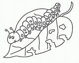 Free Very Hungry Caterpillar Coloring Pages Printables Download  sketch template