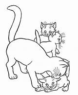 ausmalbilder Katzenbabys  Cat coloring Page Kittens Kitty sketch template