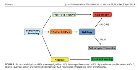 Acog Pap Guidelines 2019 Algorithm | carfare.me 2019-2020