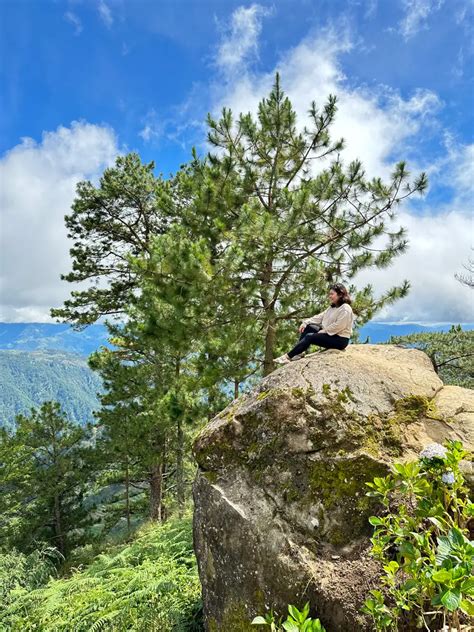 Northern Blossom Flower Farm: A Blooming Paradise in Atok, Benguet - Tara Lets Anywhere