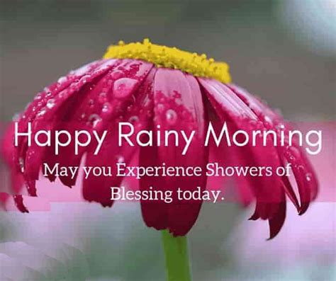 35 Perfect Good Morning Wishes For A Rainy Day - 2024