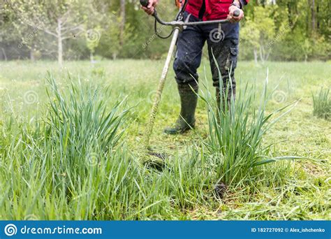 Mowing the green grass stock photo. Image of grass, house - 182727092