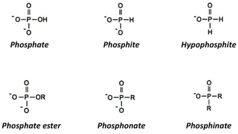 Soil Systems | Free Full-Text | Review of Phosphite as a Plant Nutrient and Fungicide