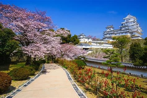 A Guide to Japan - March and April