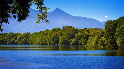 North Coast and Aguan Valley - Honduran Birds