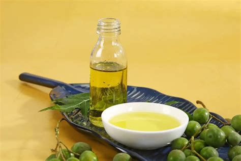 neem oil spray recipe Archives - Grower Today