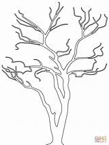 Simple Bare Tree Silhouette Sketch Coloring Page sketch template