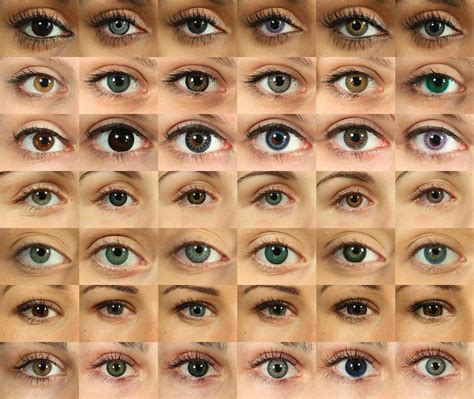 eye colors | Different eye colors 02 | eyes and hair colors | Pinterest | Eye colors