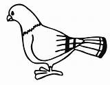Free Printable Pigeon Coloring Pages For Kids sketch template