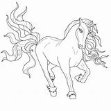 Horse coloring Stock Photos Royalty Free Images  sketch template