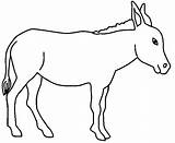 Donkey coloring Page  Animals Town color Sheet sketch template