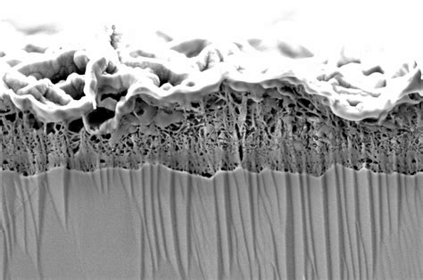 Zinc Corrosion | Max-Planck-Institut für Eisenforschung GmbH