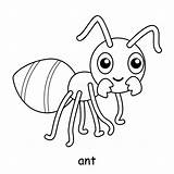 Ant Coloring Pages Vector Art Icons And Graphics For Free Download sketch template