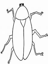 Free Printable Cockroach Coloring Pages For Kids sketch template