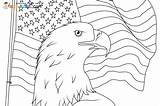 Coloring Pages Bald Eagle And Us Flag sketch template