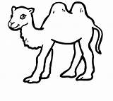 Coloring Pages  Animal Place sketch template