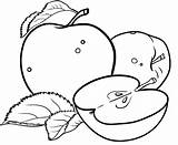 Apples Coloring Pages  Print sketch template