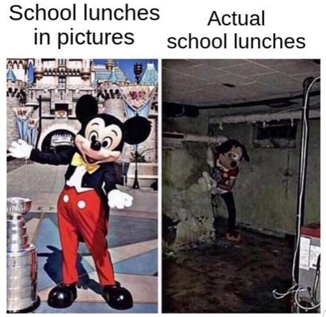 Why is school lunch so bad. : r/dankmemes