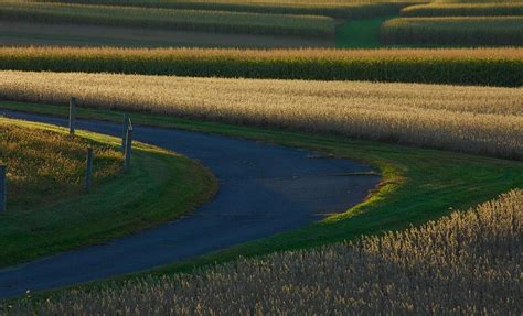 Sunset Path Photograph by Damyon Verbo - Fine Art America