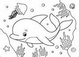 Jellyfish coloring Page  Free Printable Coloring Pages sketch template