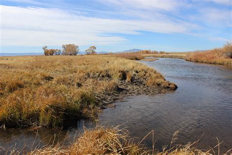 Wyoming Toad Conservation Area: Laramie River | Side channel… | Flickr