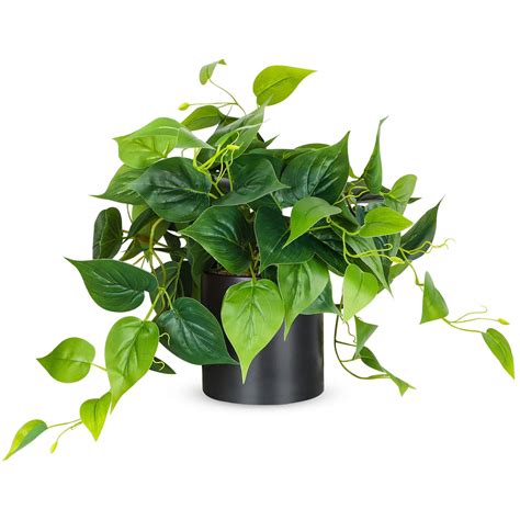 Buy JPSOR Faux s Indoor, Artificial s for Home Decor Indoor, Pothos Small Fake s for Living Room ...