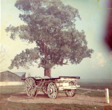 Carts on various farm locations | Fairfield City Heritage Collection