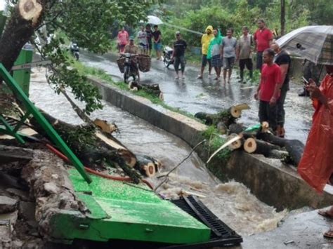 Banjir dan Pohon Tumbang Hantui Warga Padang | Tagar