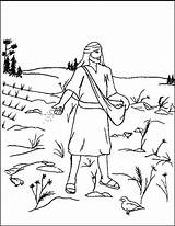  11 Lessons From Parable Of The Sower Coloring Pages sketch template