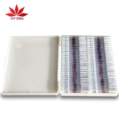 Fixed Set 100pieces Human Histological Pathology Microscope Slides - China Human Pathology ...