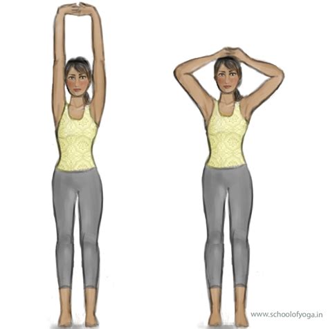 Tadasana – Mountain Pose – School of Yoga