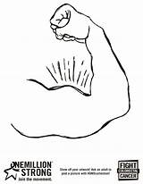 Arm Muscle Coloring Pages sketch template