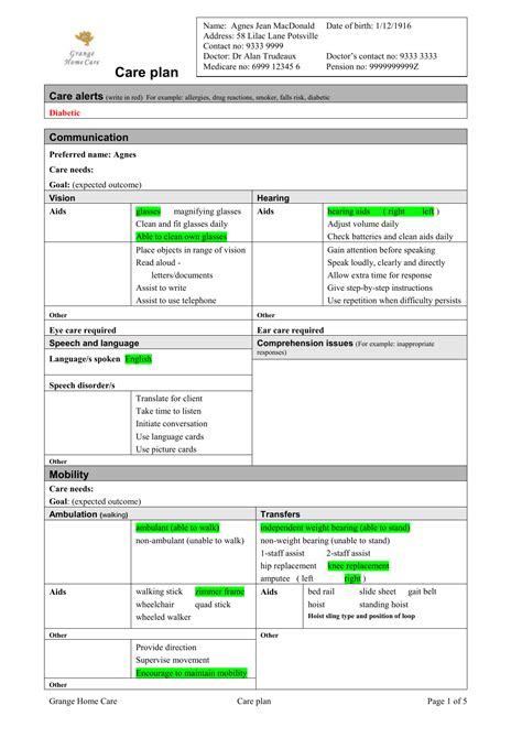 Printable Care Plan Template