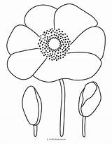 Large Poppy Flower Coloring Page  Best Site sketch template