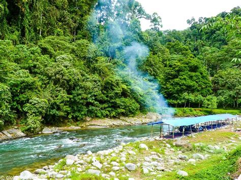 Observing the Orangutans of Sumatra in Gunung Leuser National Park