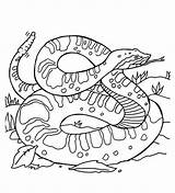 Garter Snake Cartoon Free Coloring Pages  coloring sketch template
