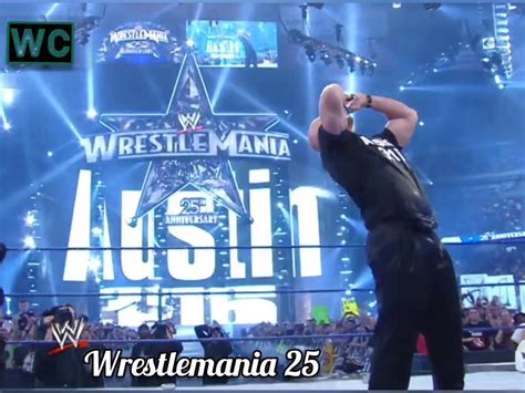 Wwe Wrestlemania 25 Stage