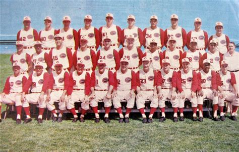 Lot Detail - 1961 CINCINNATI REDS "WORLD SERIES" PHOTO PENNANT