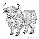 Yak Coloring Pages  Free & Printable sketch template