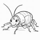 Premium AI Image  Madagascar Hissing Cockroach Doodle Cute Angel sketch template