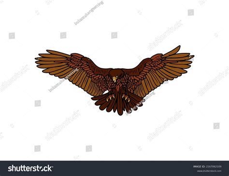 Eagle Vector Art Logo Graphic Design Stock Vector (Royalty Free ...