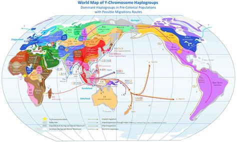 A beautiful, slightly outdated map of the dominant Y-haplogroups (male lineages) of the world [3 ...