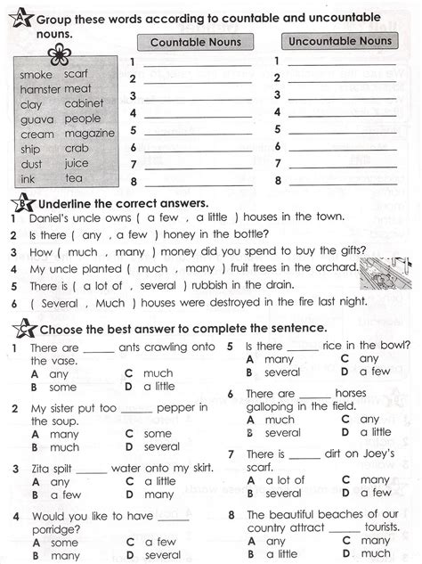 Countables And Uncountables Nouns Exercises