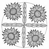 Mandala Sunflower Coloring Pages  Ferrisquinlanjamal sketch template