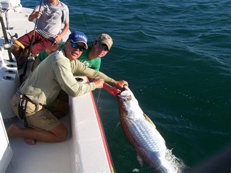 Boca Grande Tarpon Fishing Season 2018