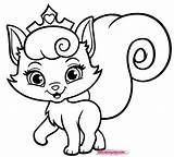 Kitten Coloring Pages Free Printable sketch template